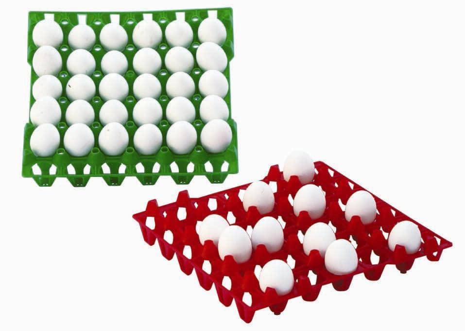 تصویر 3 از خرید و فروش شانه تخم مرغ جوجه کشی شاخک دار با شرایط فوق العاده